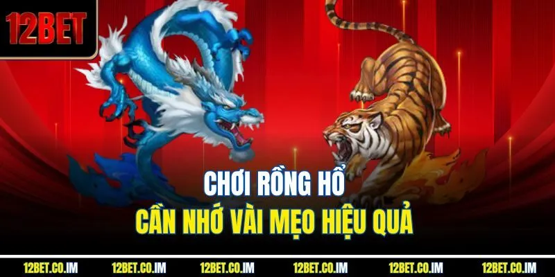 Chơi Rồng Hổ cần nhớ vài mẹo hiệu quả